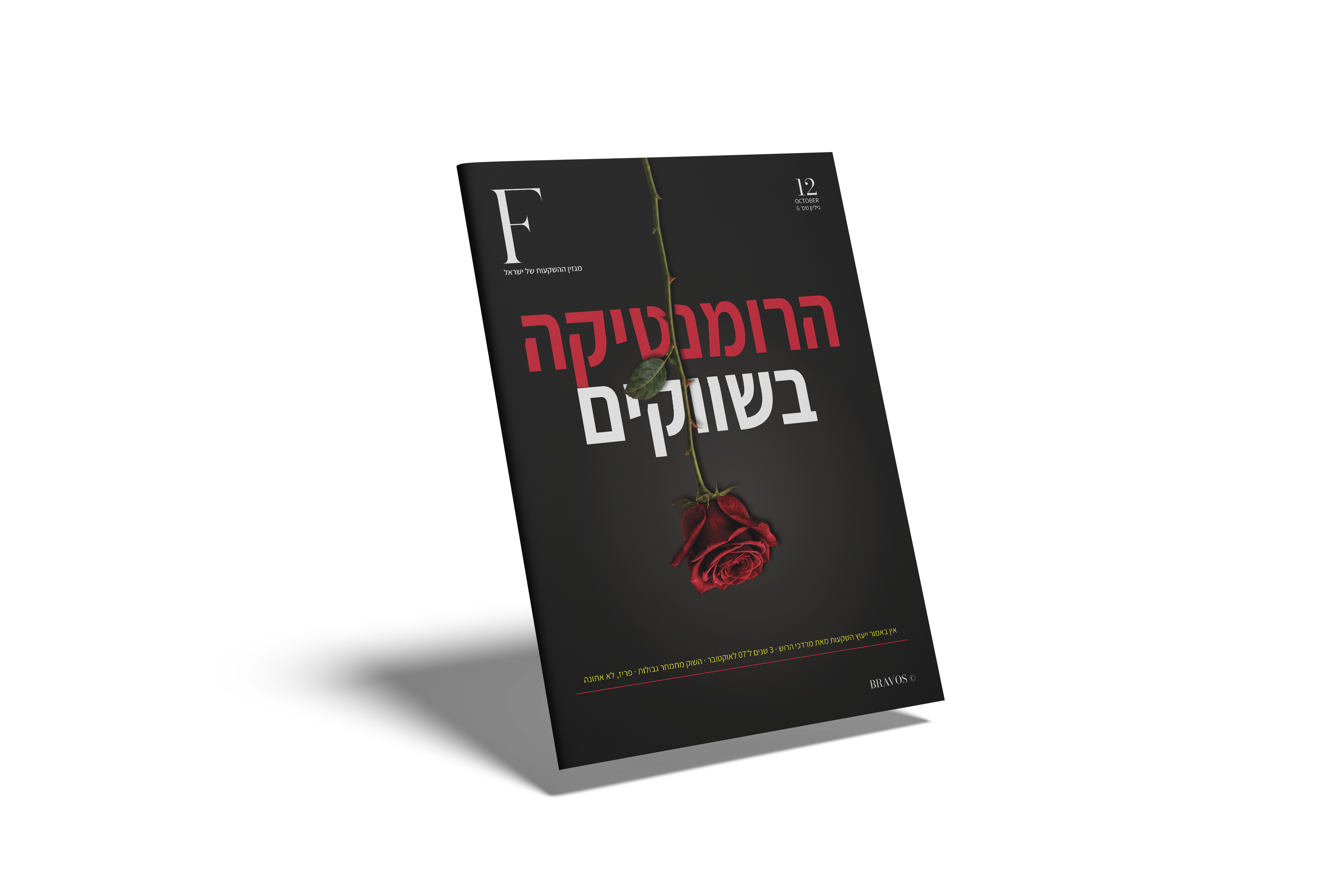 כריכת THE FLOW גיליון 6
